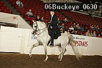 06buckeye_0630 proof