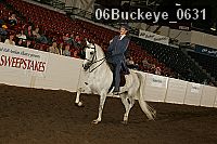 06buckeye_0631 proof