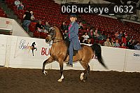 06buckeye_0632 proof
