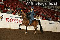 06buckeye_0634 proof