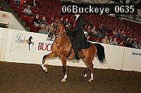 06buckeye_0635 proof