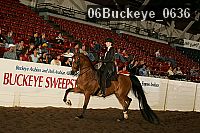 06buckeye_0636 proof