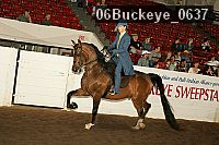 06buckeye_0637 proof