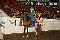 06buckeye_0638 proof