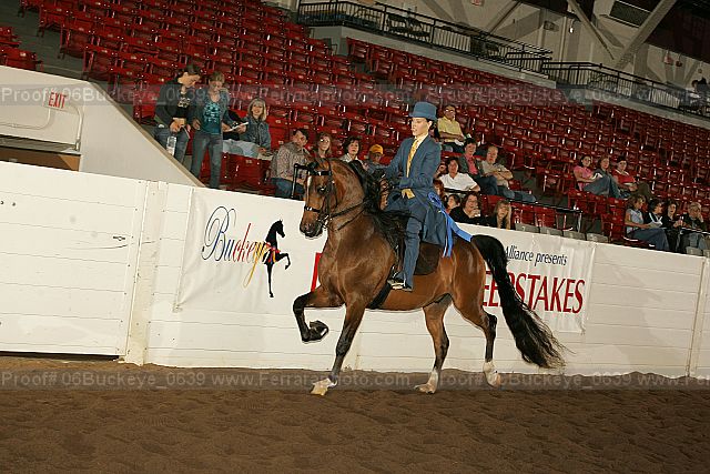 Proof 06buckeye_0639