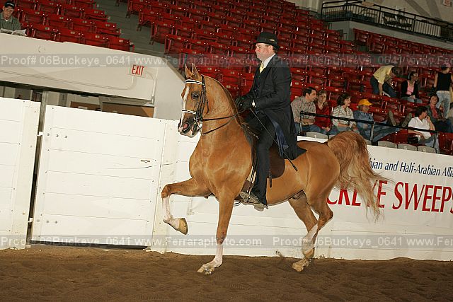 Proof 06buckeye_0641