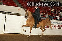 06buckeye_0641 proof