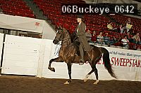 06buckeye_0642 proof