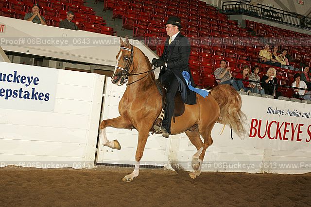 Proof 06buckeye_0643