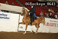 06buckeye_0643 proof