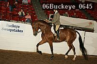 06buckeye_0645 proof