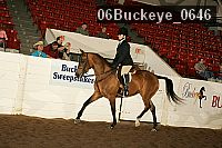 06buckeye_0646 proof