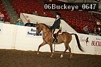 06buckeye_0647 proof