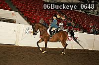 06buckeye_0648 proof