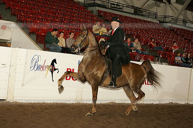 Proof 06buckeye_0651