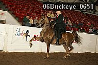 06buckeye_0651 proof