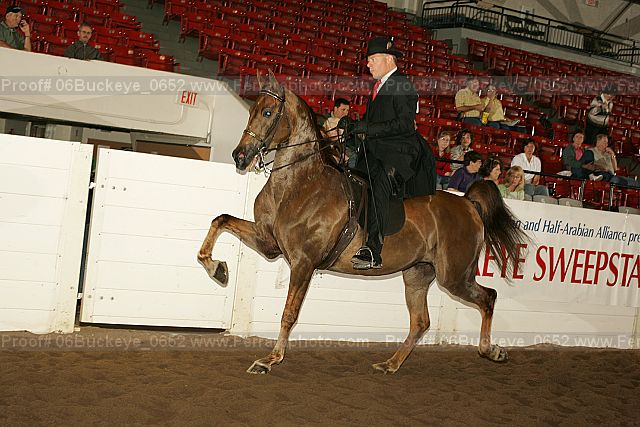 Proof 06buckeye_0652