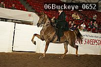 06buckeye_0652 proof