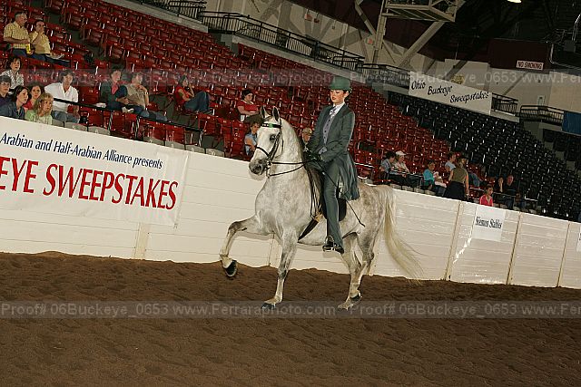 Proof 06buckeye_0653