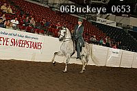 06buckeye_0653 proof