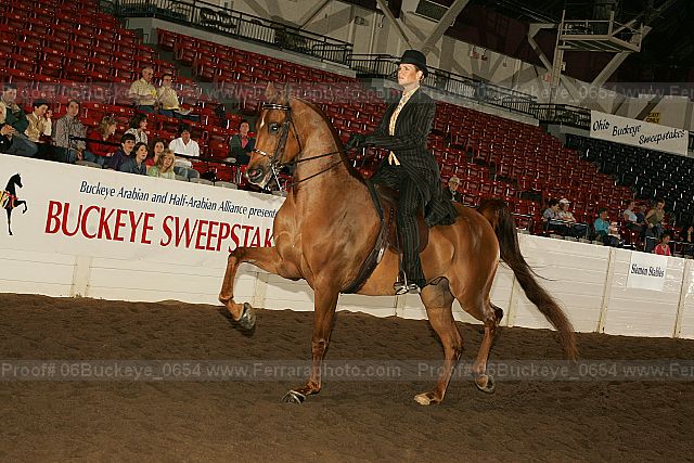 Proof 06buckeye_0654
