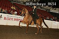06buckeye_0654 proof