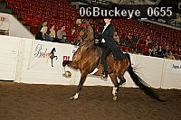 06buckeye_0655 proof