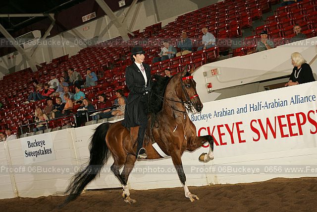 Proof 06buckeye_0656