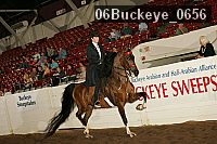 06buckeye_0656 proof