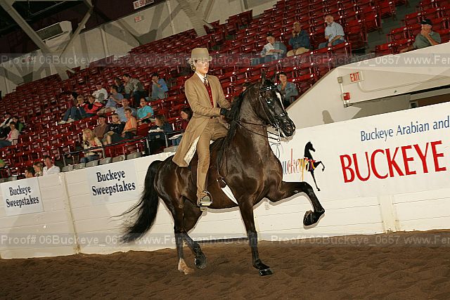 Proof 06buckeye_0657