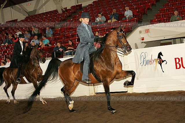 Proof 06buckeye_0658