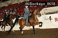 06buckeye_0658 proof