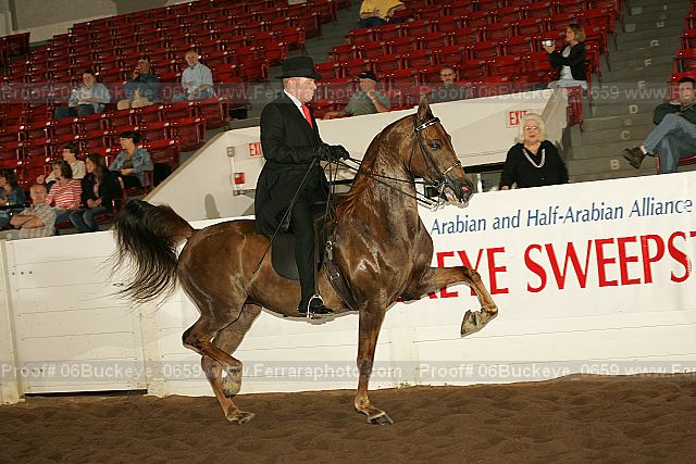 Proof 06buckeye_0659
