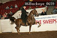 06buckeye_0659 proof