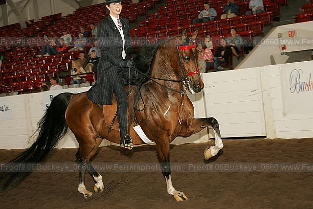 Proof 06buckeye_0660
