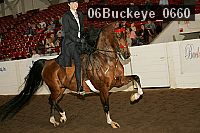 06buckeye_0660 proof