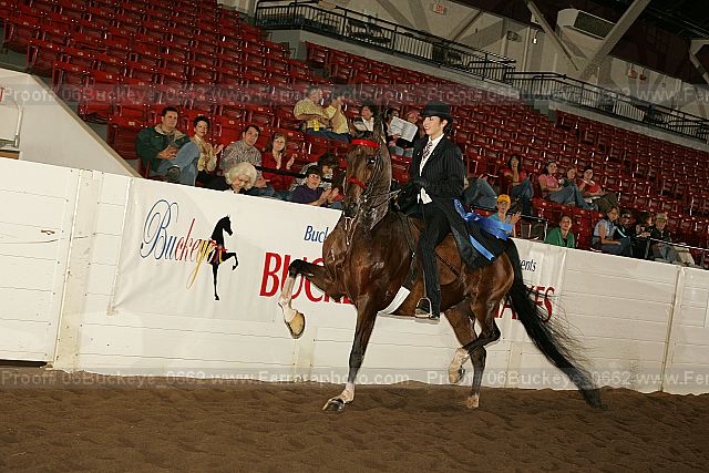 Proof 06buckeye_0662