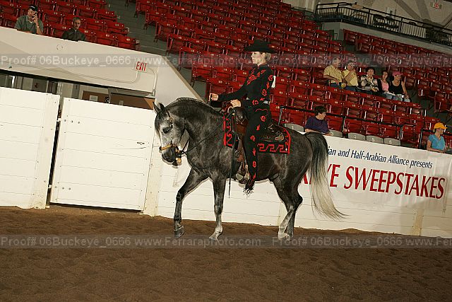 Proof 06buckeye_0666