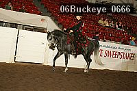 06buckeye_0666 proof