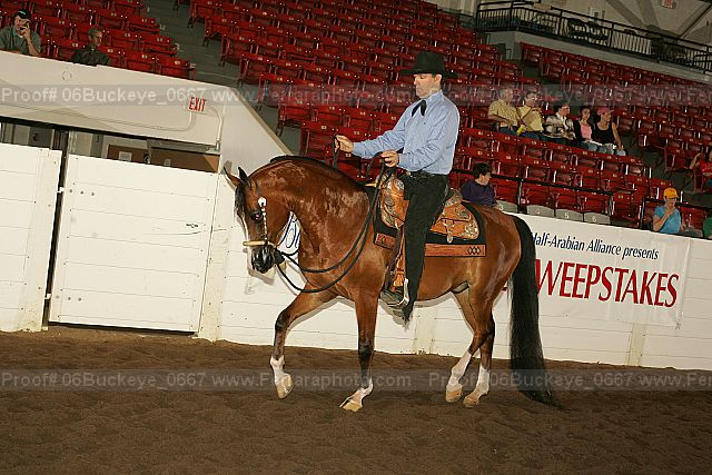 Proof 06buckeye_0667