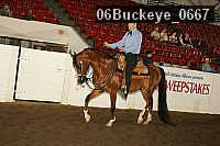 06buckeye_0667 proof