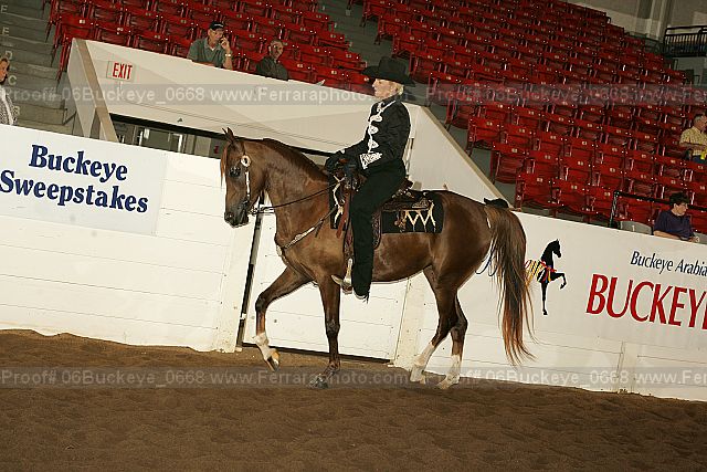 Proof 06buckeye_0668