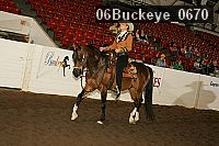 06buckeye_0670 proof