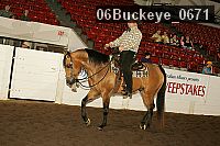 06buckeye_0671 proof