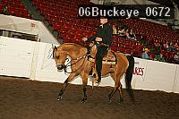 06buckeye_0672 proof
