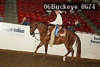 06buckeye_0674 proof