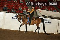 06buckeye_0688 proof
