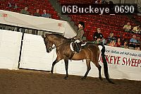 06buckeye_0690 proof