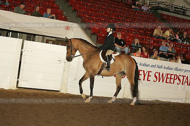 Proof 06buckeye_0692