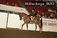 06buckeye_0693 proof